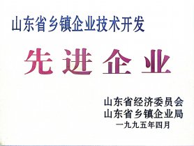 山东省乡镇企业技术开发先进企业