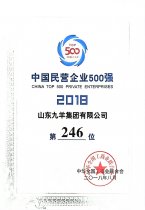 中国民营企业500强第246位 18年度