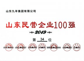 山东民营企业100强第34位 19年度