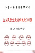 山东民营企业吸纳就业100强